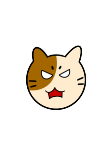 Angry Kitty
